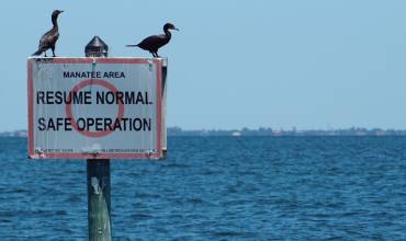 Boating Rules Sign