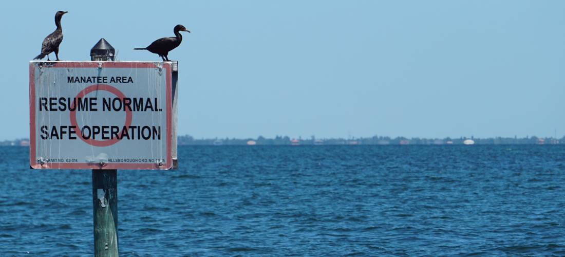 Waterway Conservation Signs