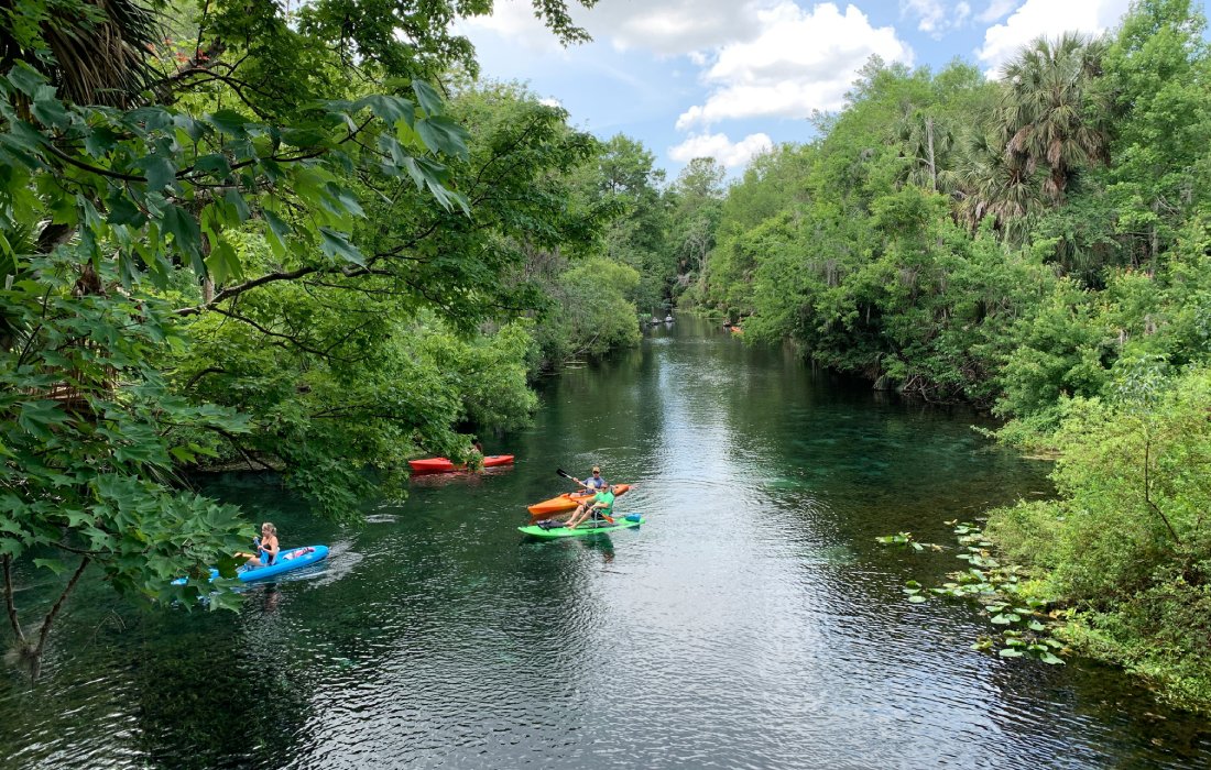 Canoe in the mangroves